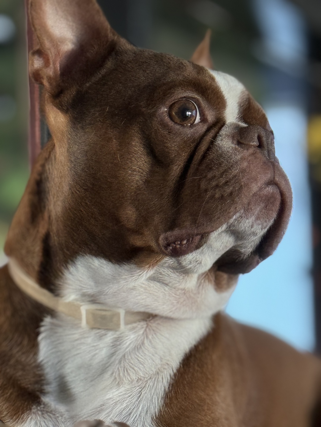 Jamie profile