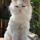 Christine profile