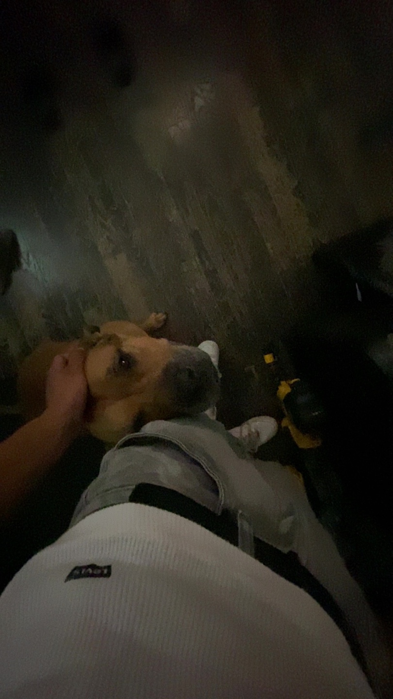 John Barrett profile