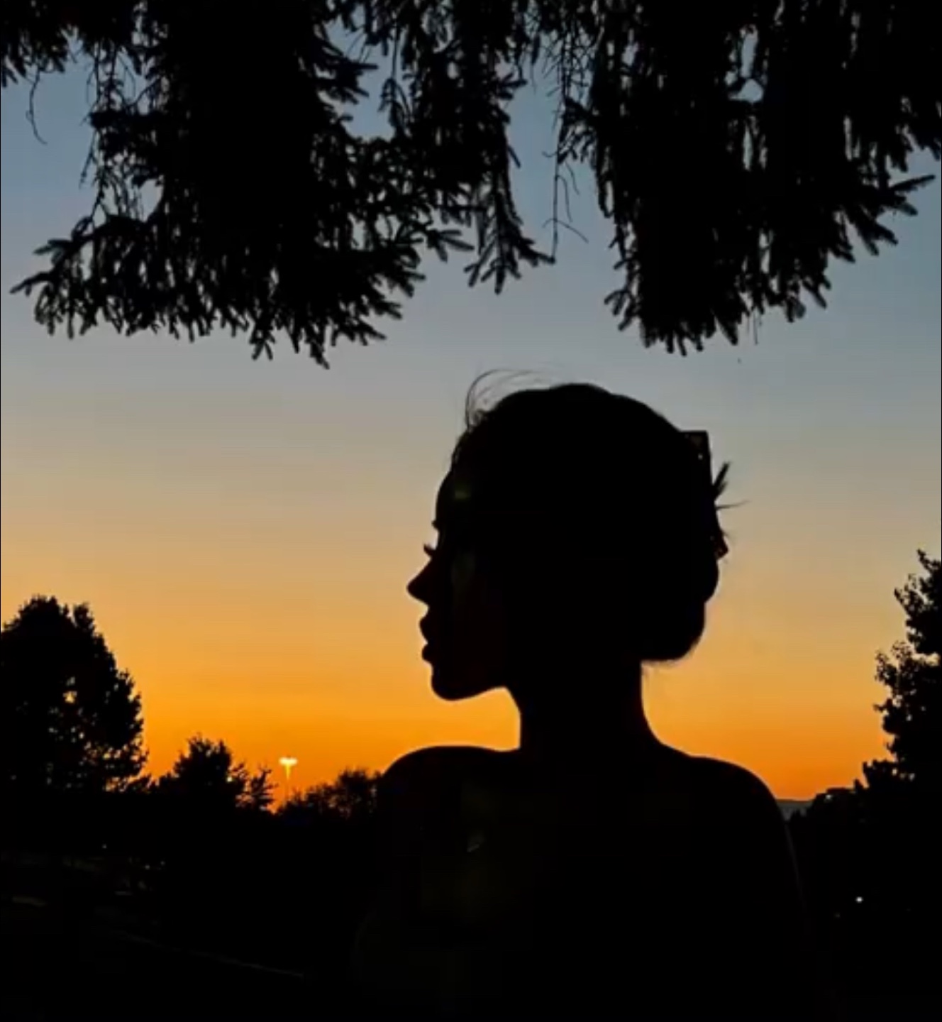 JJ profile