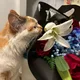 Nycjose profile
