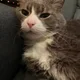 Journey profile