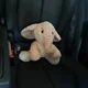 Amya profile
