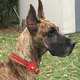 Barb profile