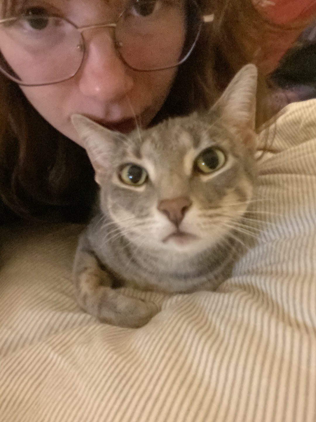 Emmily profile
