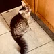Eli profile