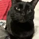 Deena profile