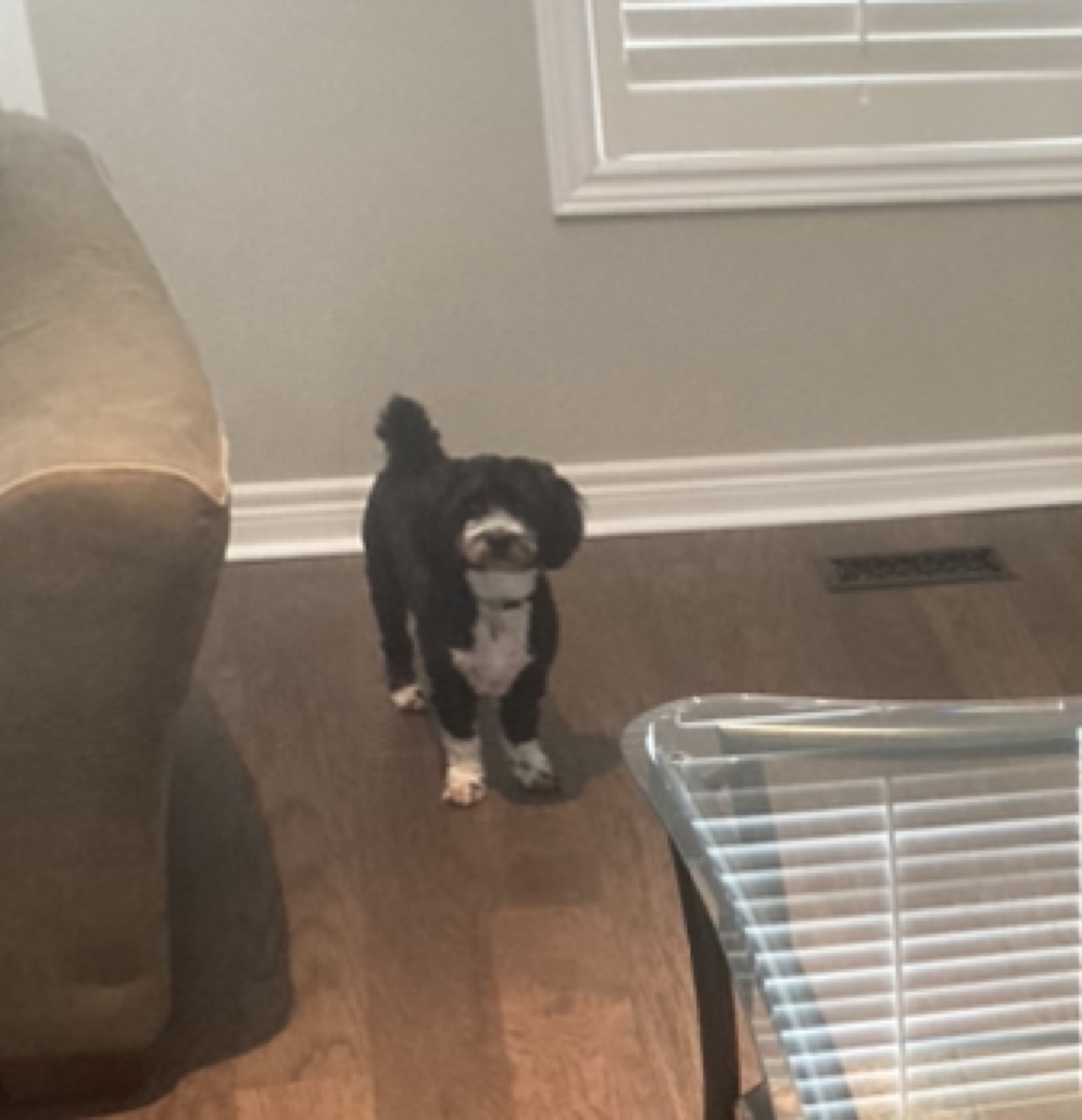 Rick profile