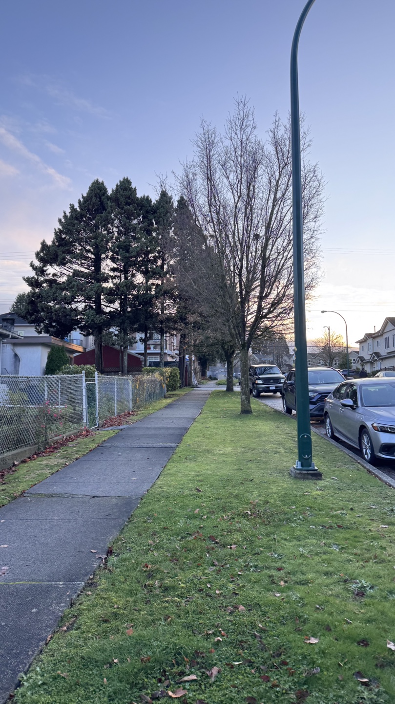Vevey profile