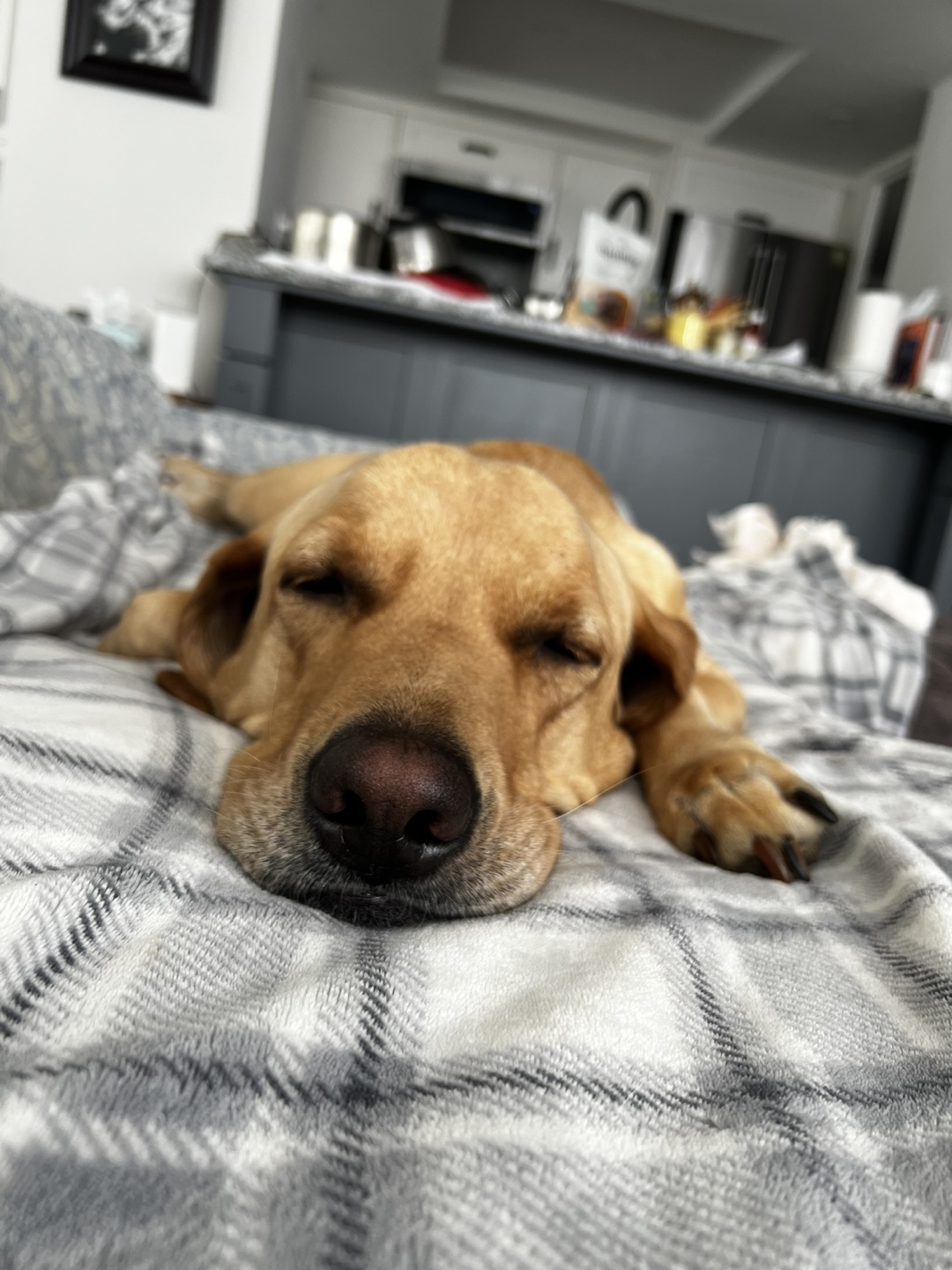Charlie profile