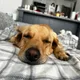 Charlie profile