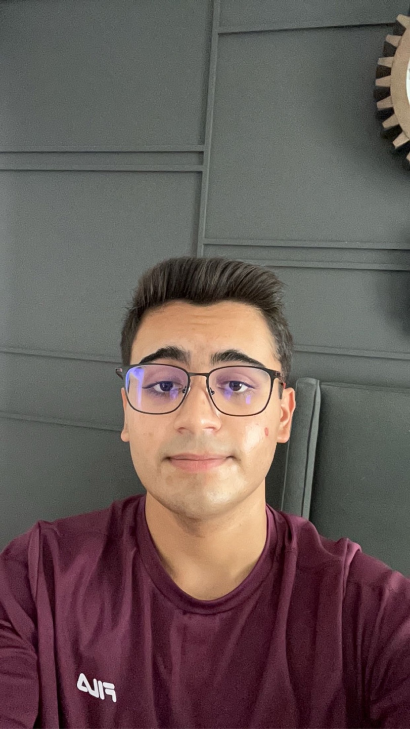 Vivik Sawrup profile