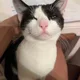 Rara profile