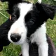PandaMom14 profile