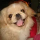 TWS profile