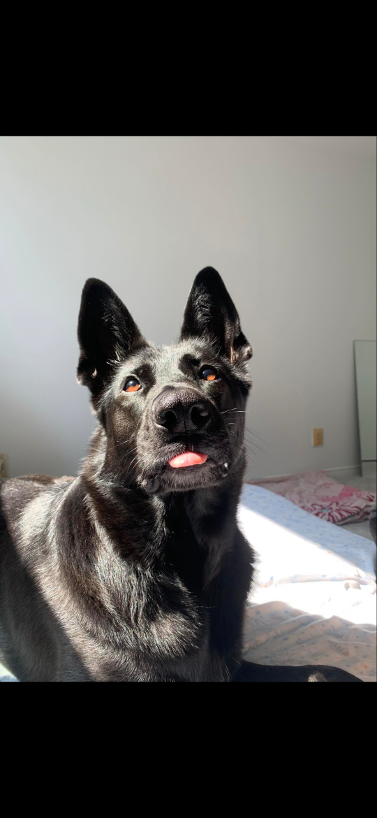 Charlie profile