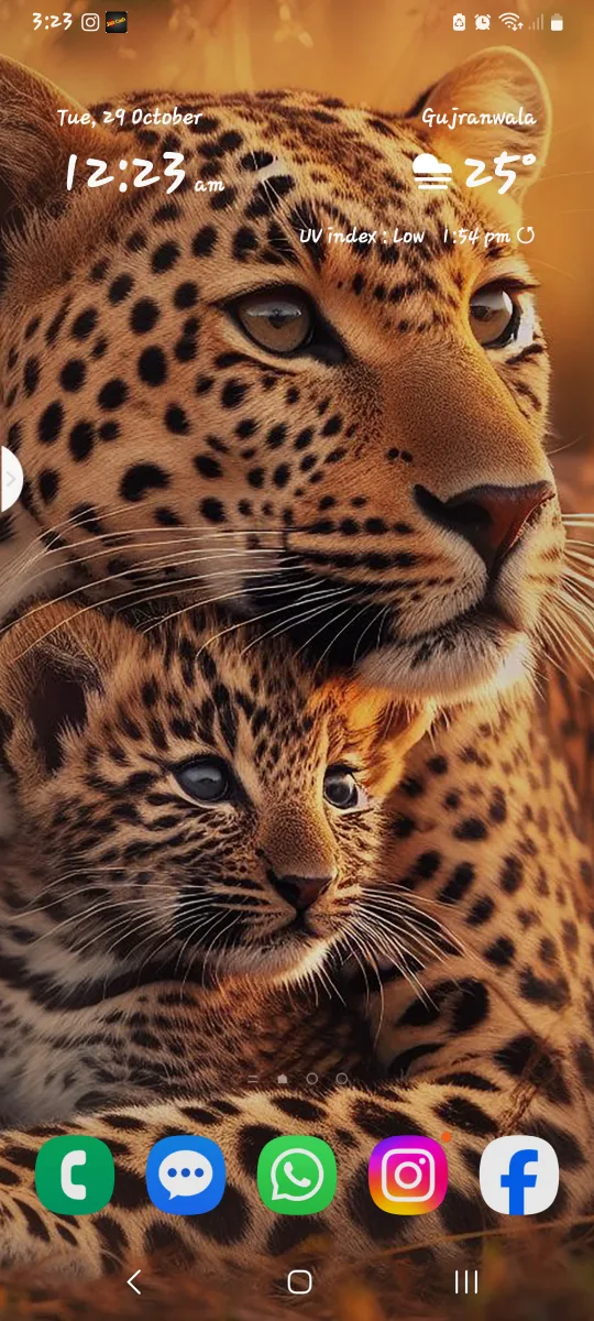 Nafisa Akram Khan profile