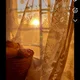 Skyz profile