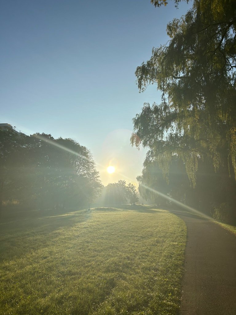 Teri Tagliani profile