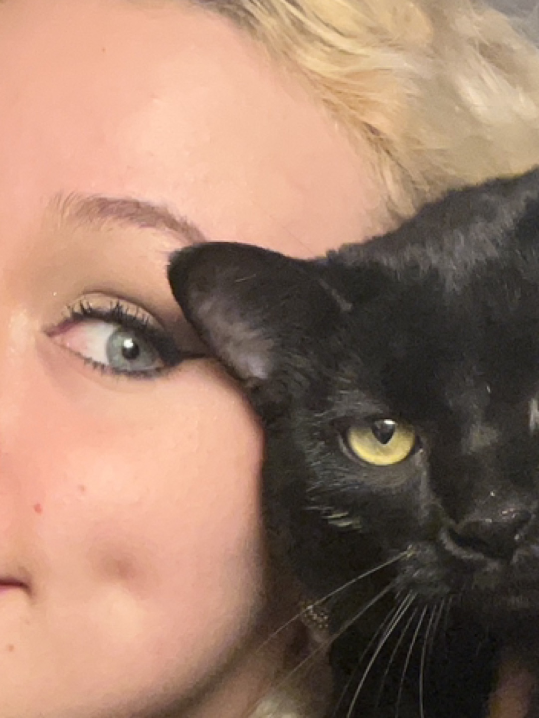 Tori