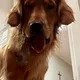 Kyle profile