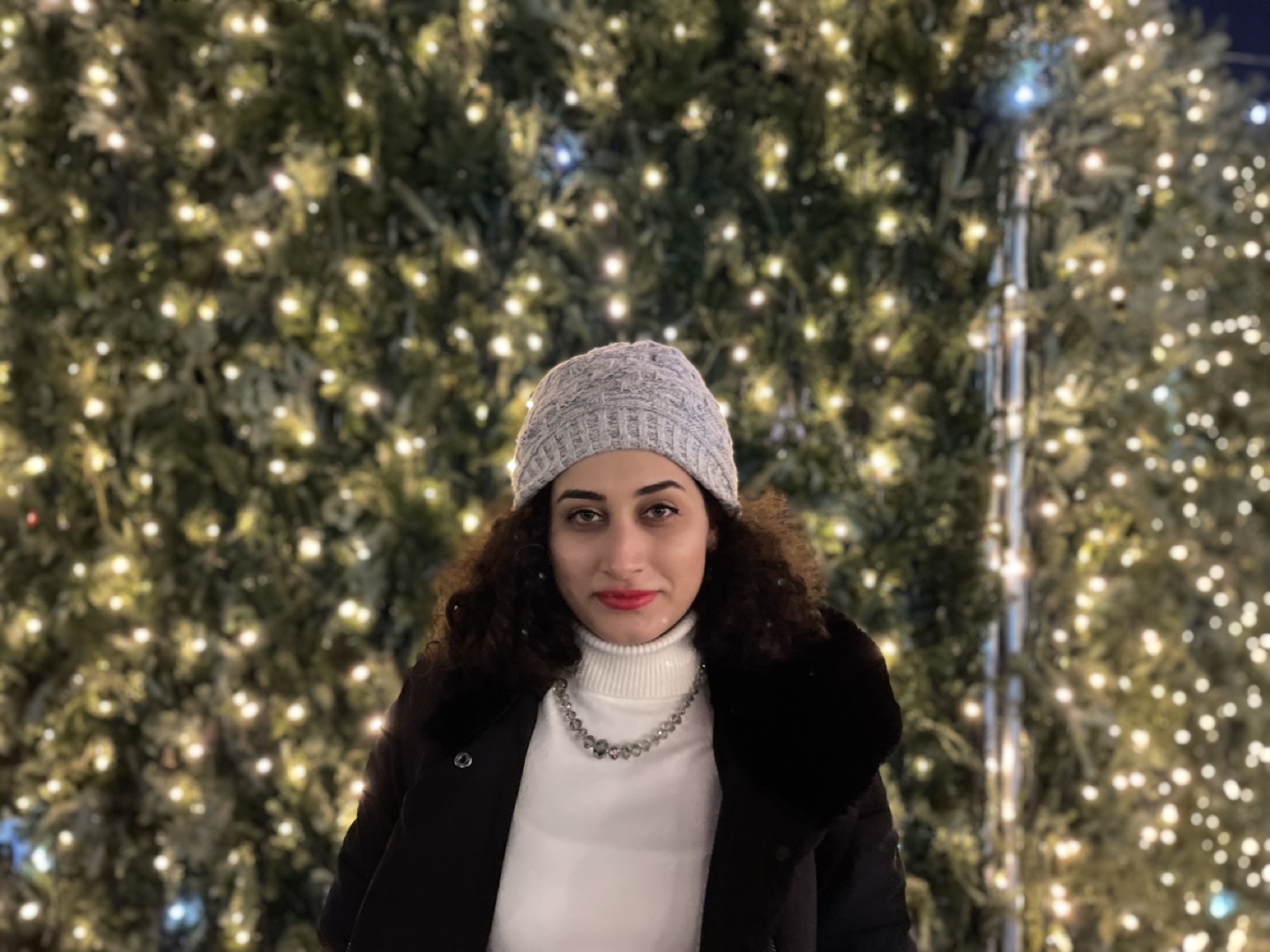 Yasi profile