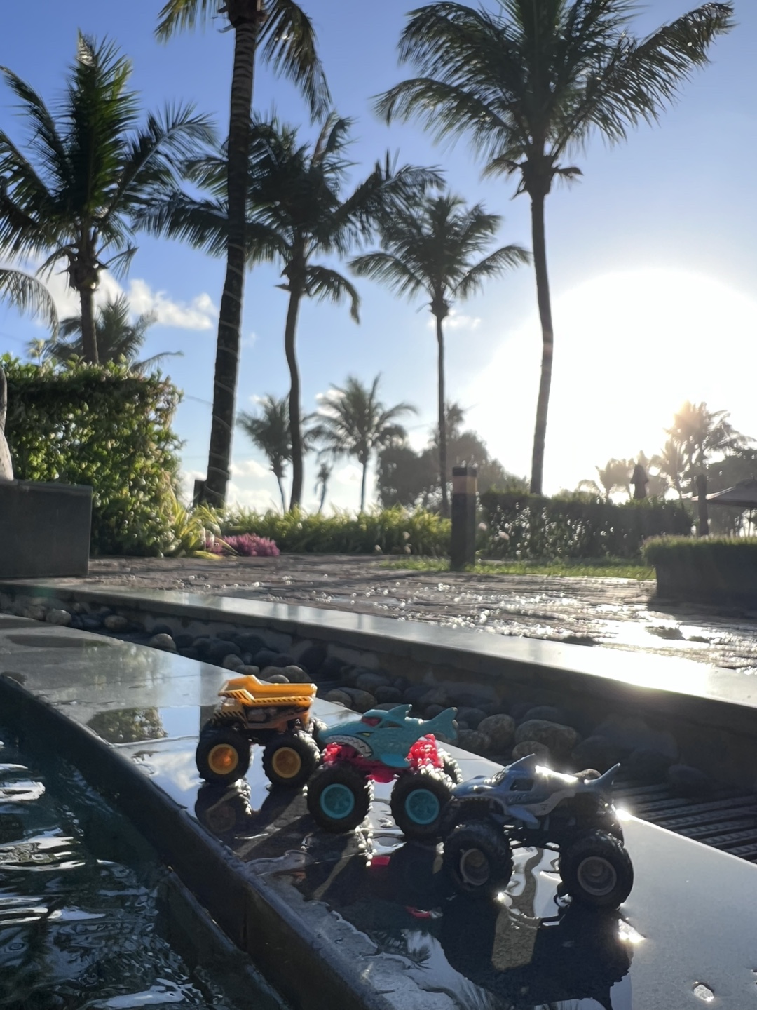 Safi Miranda profile