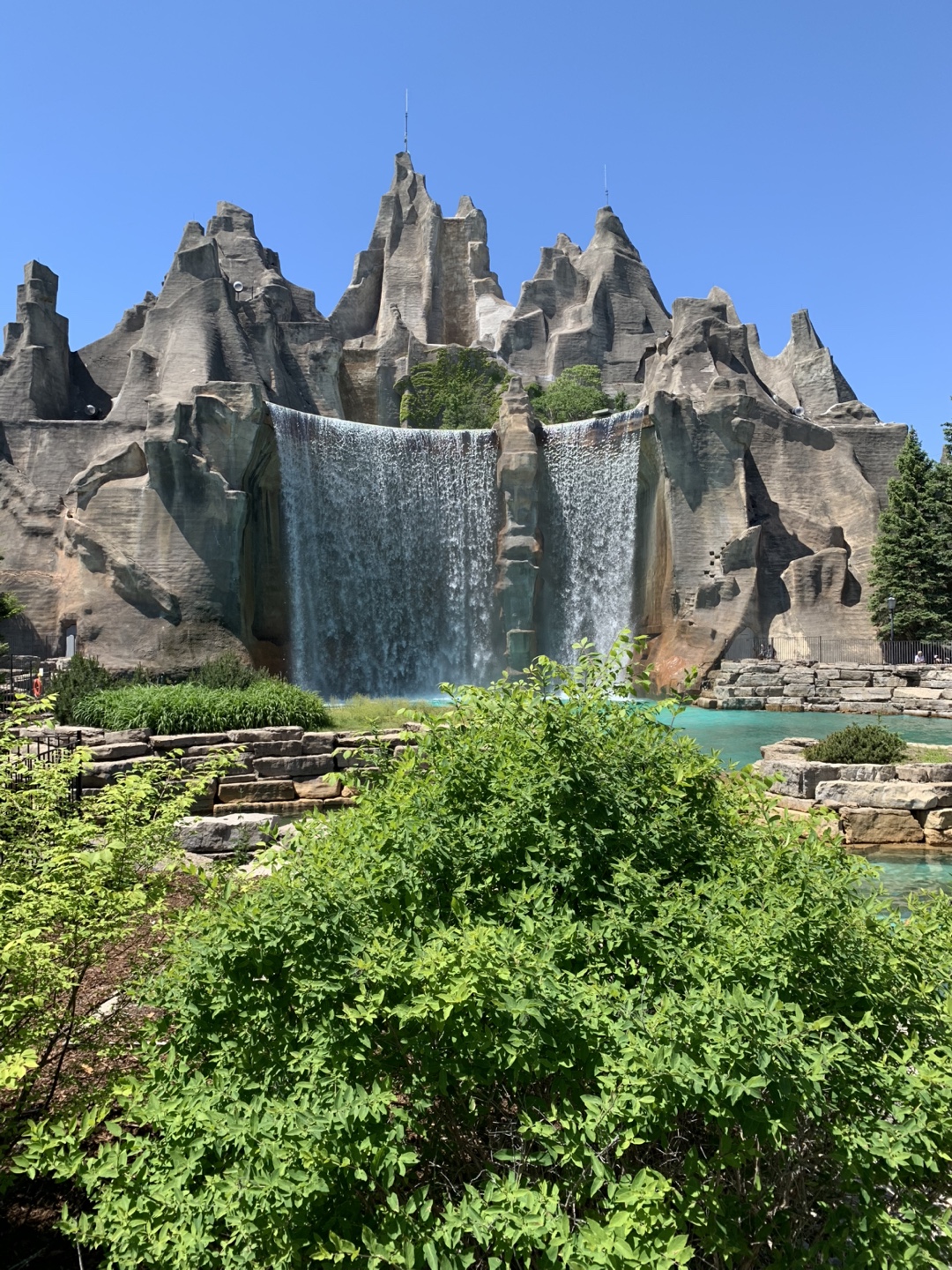 Adam Braganca profile