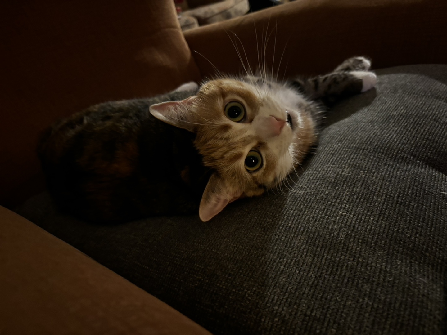 Audrey profile