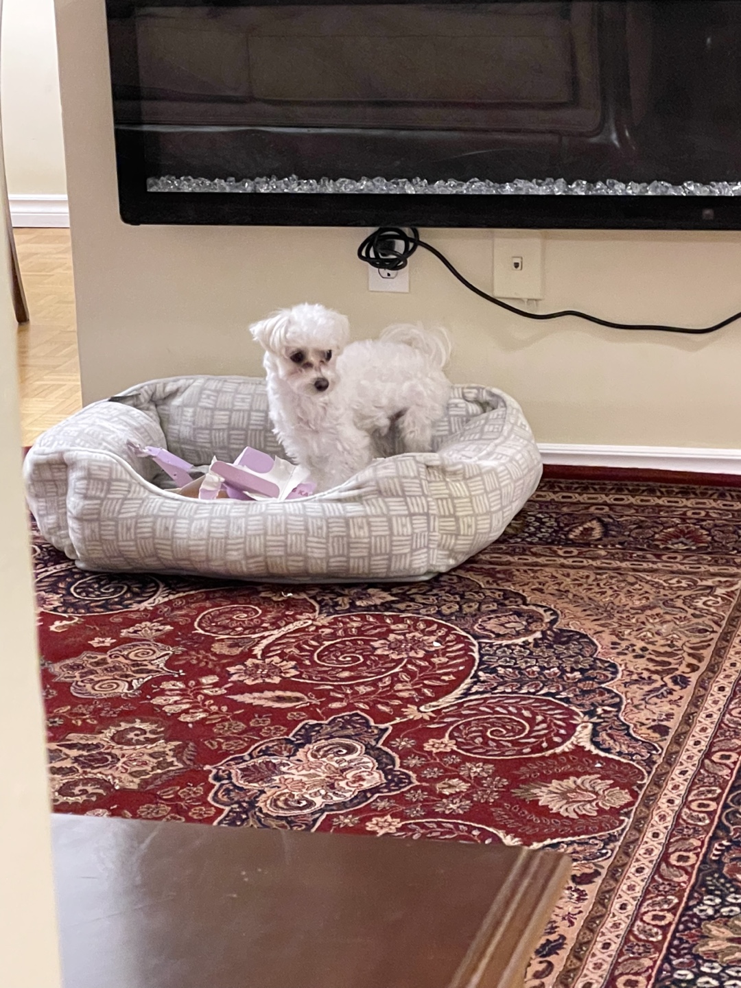 Aaron lubovsky profile