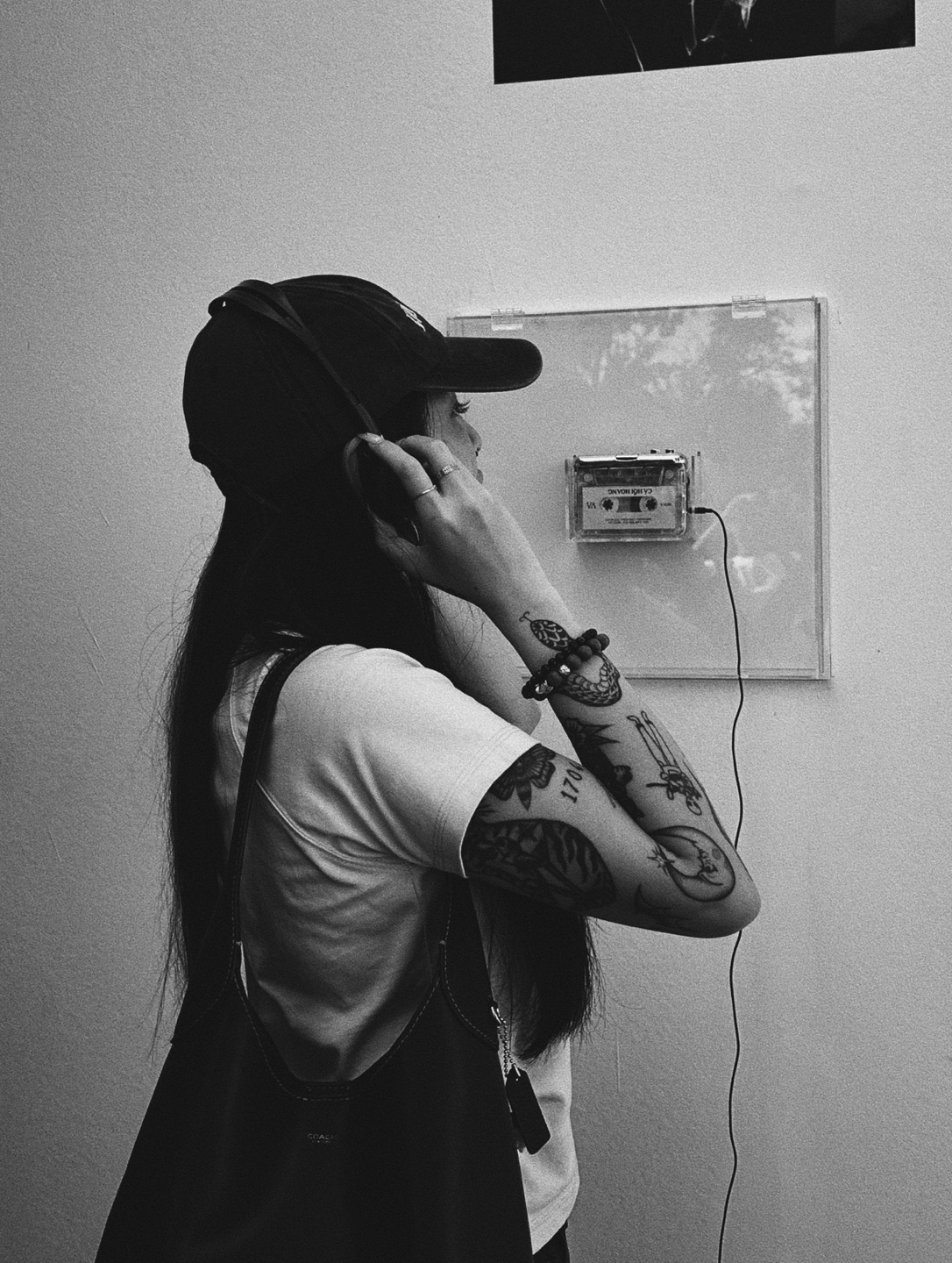 Trinh profile