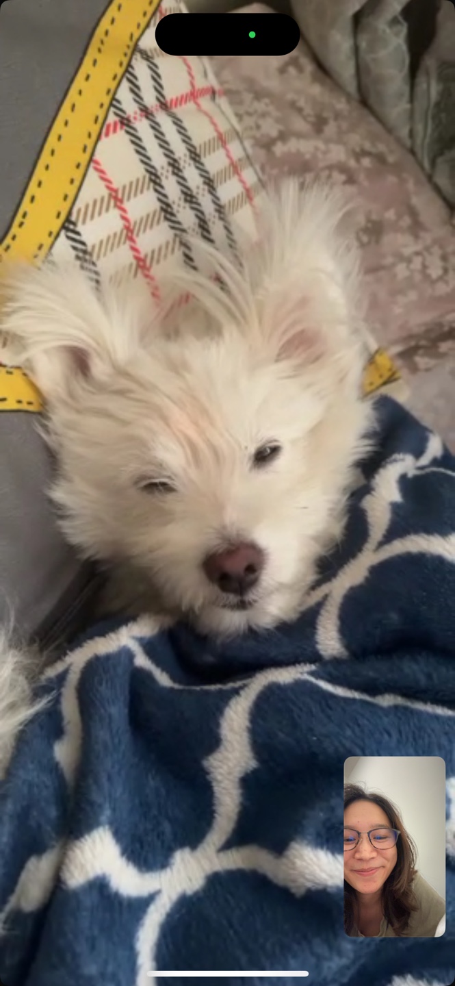 Roji Lama profile