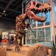 Buq27 profile