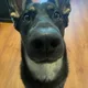 Kyra profile