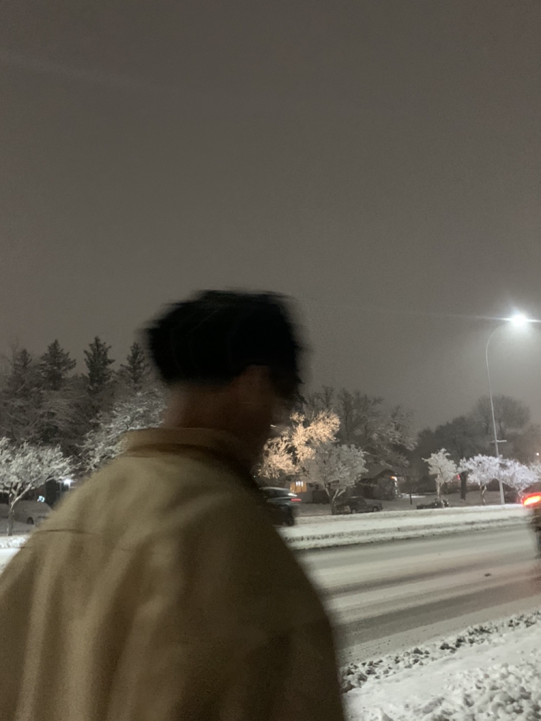 Joseph profile