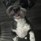 Gavin profile