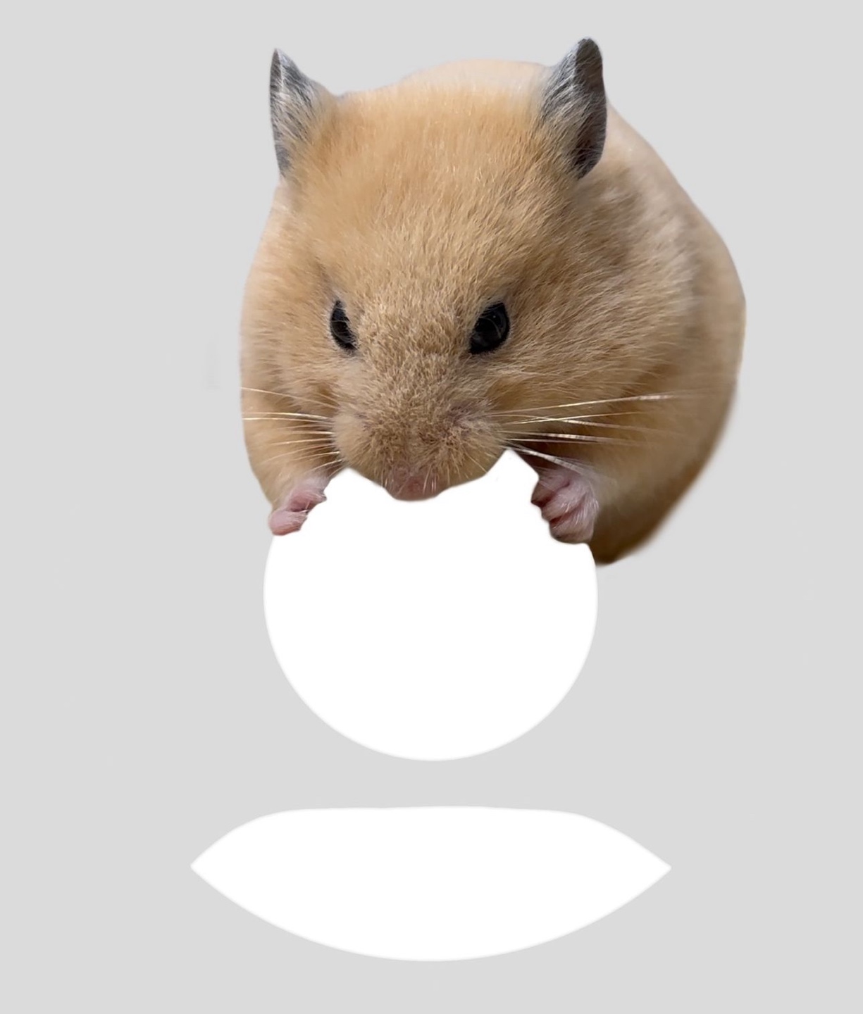 lyrned profile