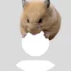 lyrned profile