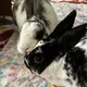 Molly profile