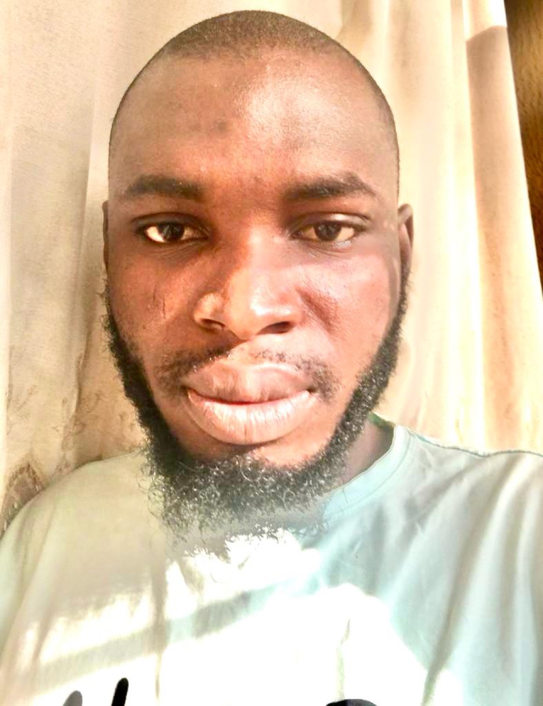 Ibrahim profile