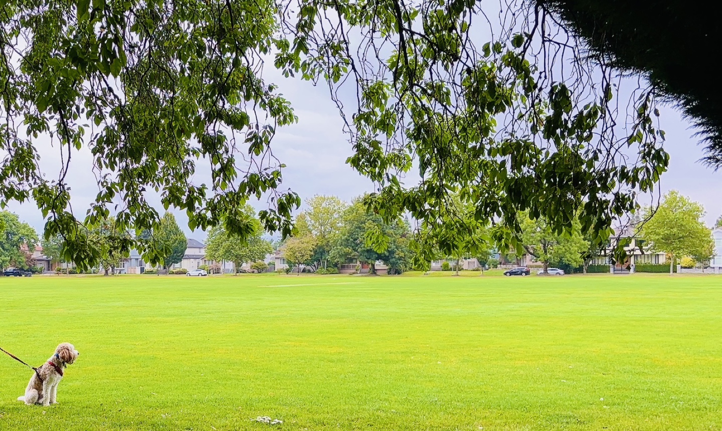 Loveyourself profile