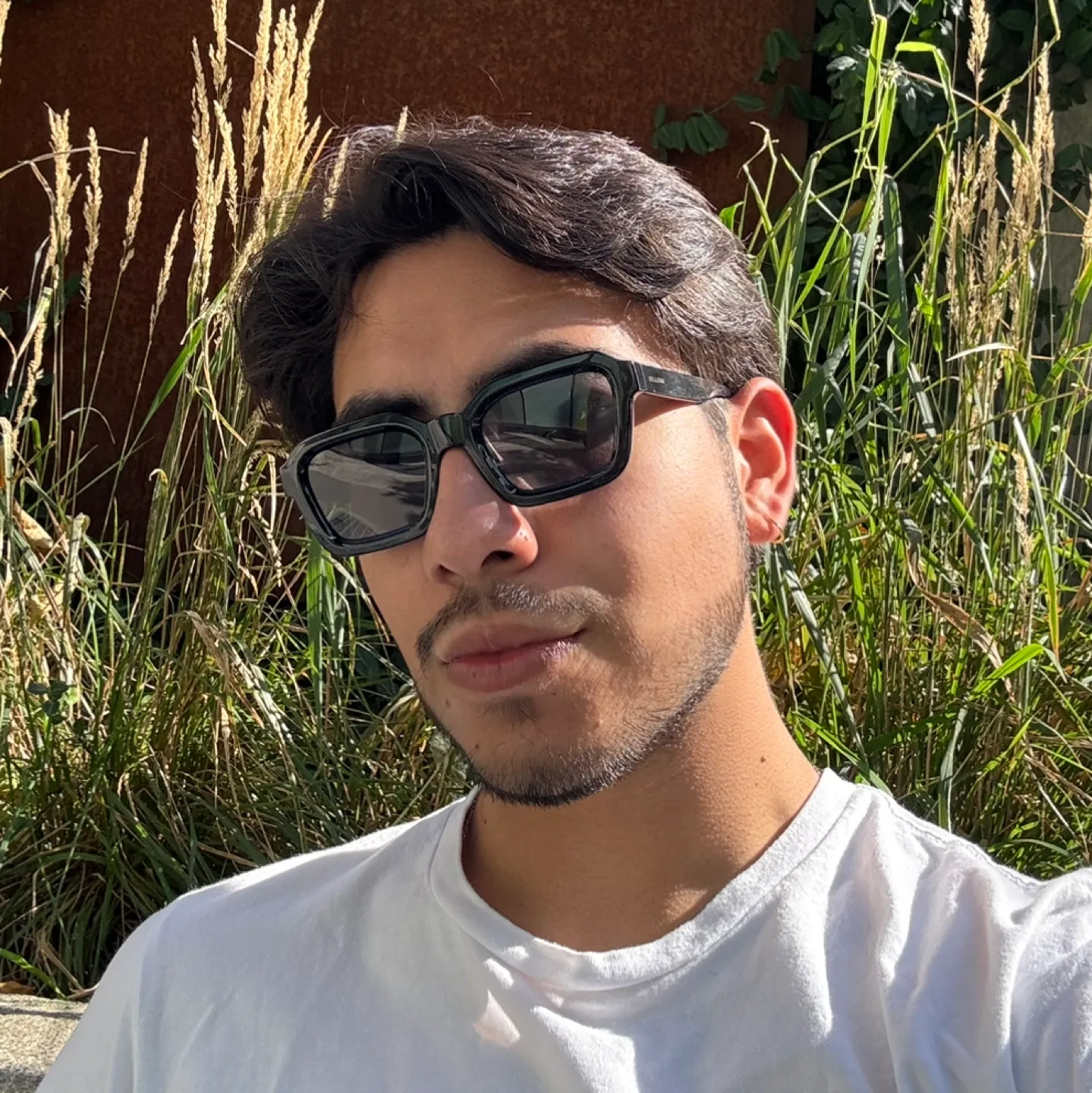 Frank Herver profile