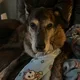 Norah profile