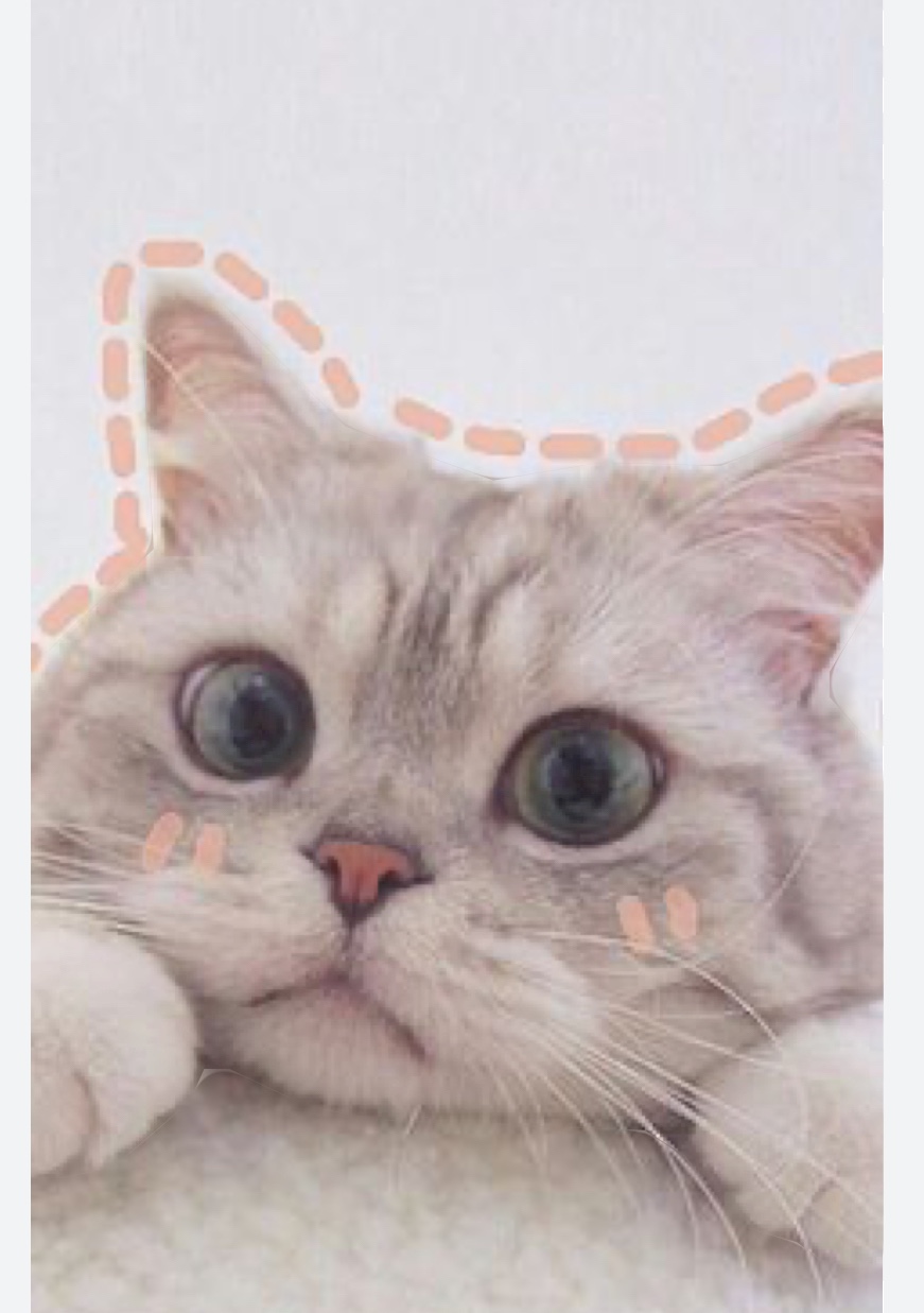 Katta