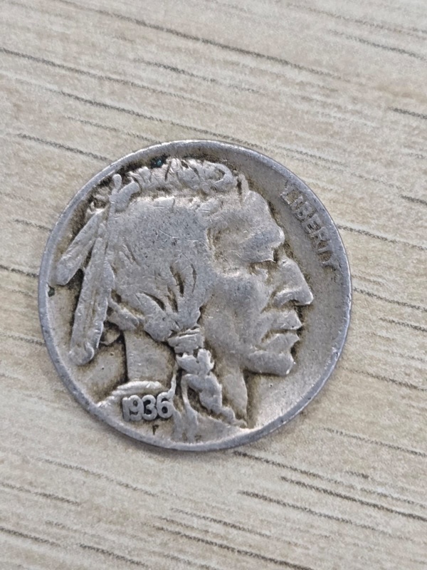 shmuly profile
