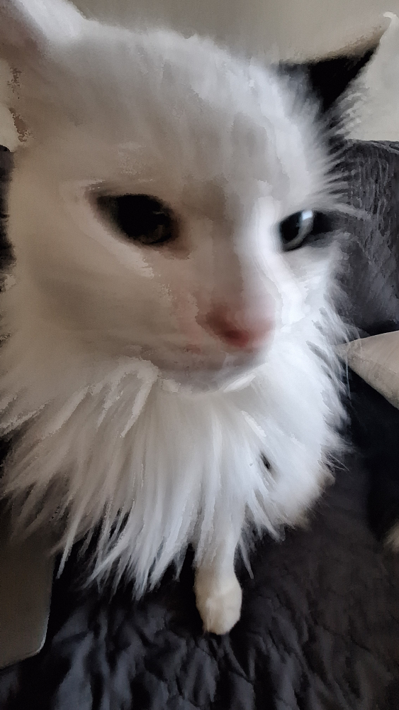 Yusuf profile