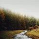 ADK profile