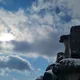 TC profile