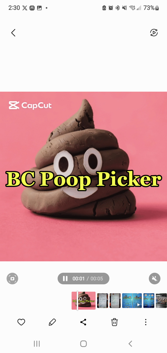BC Poop Picker