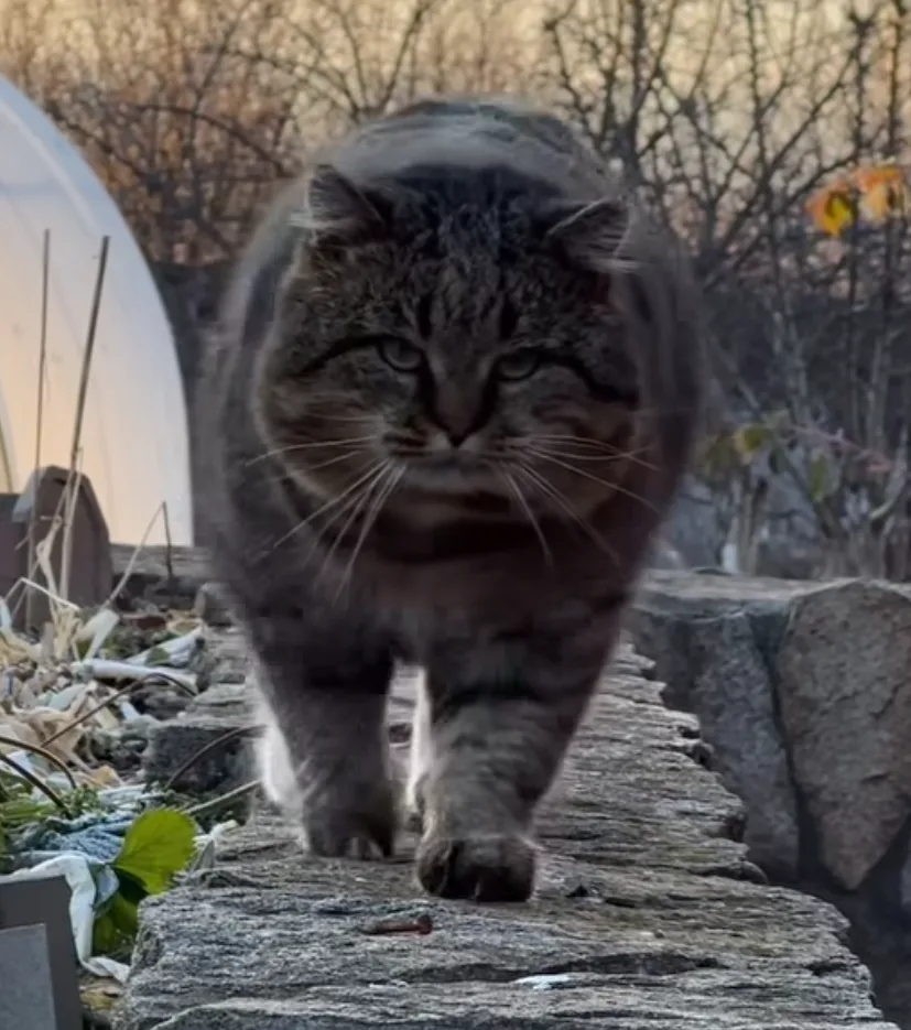 Alejandra Lafrance profile